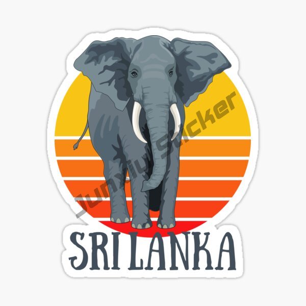 Fashion Car Sticker Sri Lanka  - Laptop Accessories Sri Lanka recensie en prijs