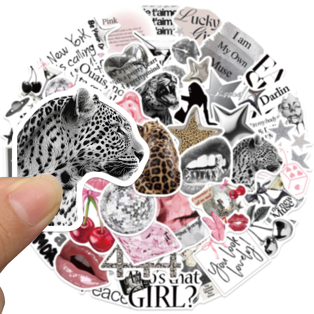 50pcs Silver Lucky Sticker Fas - Laptop Accessories Aesthetic recensie en prijs